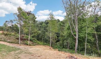 147 Indian Paintbrush Ln 39, Alexander, NC 28701