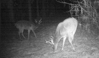 00 Hadwin Rd, Bamberg, SC 29003