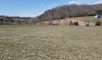 Tbd Lot 1 River Village Ln, Afton, TN 37616