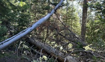 W Hunter Ridge Dr, Brian Head, UT 84719