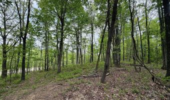 1271 A Tunnel Ridge Rd, Argillite, KY 41121