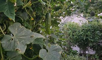 928 BLACK HILLS Ave, Alliance, NE 69301