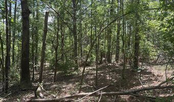County Road 244 Tract A, Abbeville, MS 38601