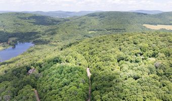 Timberland Drive, Andes, NY 13731