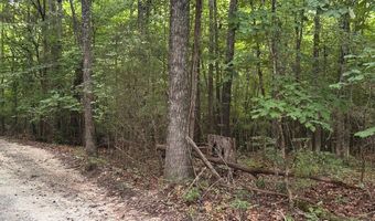 12 Acres Horton Dr, Abbeville, SC 29620
