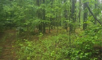 Jim Allred Road, Bankston, AL 35542