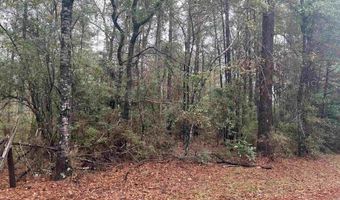68000 Block Scranage Rd, Atmore, AL 36502