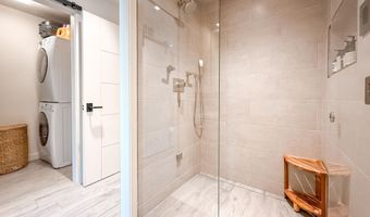 100 E Cooper Ave 4, Aspen, CO 81611