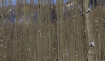 640 S Hayden Rd, Aspen, CO 81611