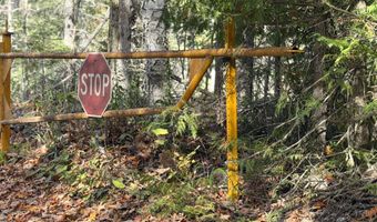 1 Wreck Rd, Alpena, MI 49707