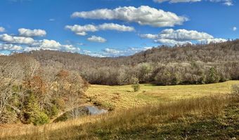 1520 Brittontown Rd, Afton, TN 37616