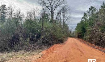 21000 Block Highway 21, Beatrice, AL 36425