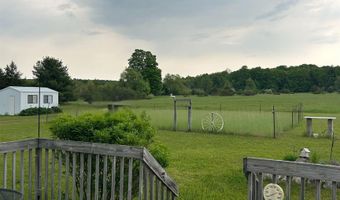 9196 NW Manley Rd, Alden, MI 49612