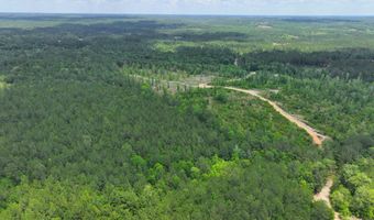 Sardis Church Road, Atmore, AL 36502