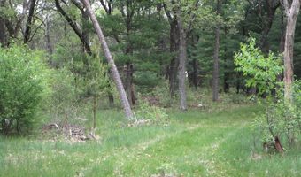 2018 W 9th Ave, Adams, WI 53910