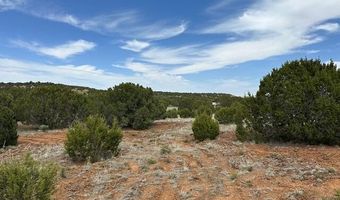 50 County Road 3048, Concho, AZ 85924