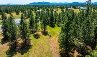 30267 N WHEATRIDGE Rd, Athol, ID 83801
