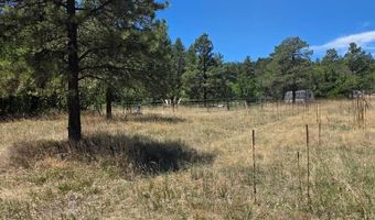 17775 County Road 51, Boncarbo, CO 81024