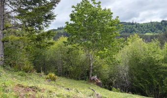 301 UPPER NESTUCCA RIVER Rd, Beaver, OR 97108
