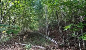 172 Hump View Trl, Banner Elk, NC 28604