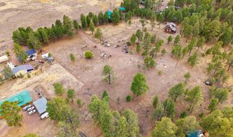 County Road N2144, Alpine, AZ 85920