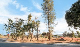 344 E Las Flores Dr, Altadena, CA 91001