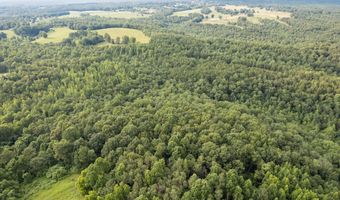 COUNTY ROAD 22, Arley, AL 35541
