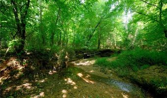 Todd Road, Advance, NC 27006