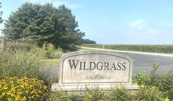 26421 S Wildgrass Turn, Monee, IL 60449