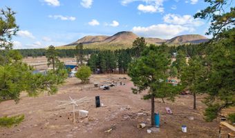 County Road N2144, Alpine, AZ 85920