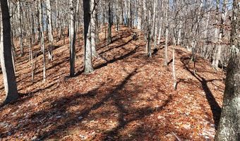 Nebo Mountain Rd. lot Multiple, Atkins, VA 24311