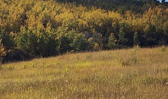 N 4600 E, Ashton, ID 83420