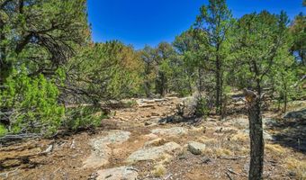 Rikki Rowdy Place, Aguilar, CO 81020