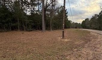 TBD 6.982 AC PROVIDENCE ESTATES Road lot 41A, Amite, LA 70422