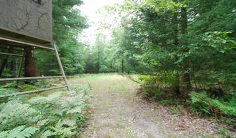 x Franklin Road, Alger, MI 48610