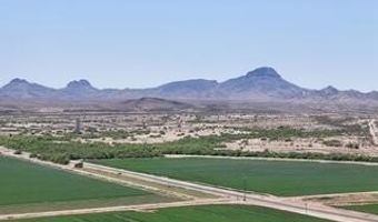 W Desert Rose Road, Arlington, AZ 85322