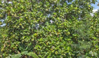 4685 Uakea Rd, Hana, HI 96713