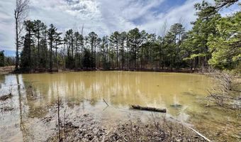 10028 Hwy 66, Alco, AR 72680