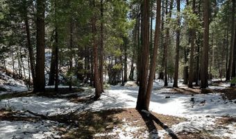 1968 Flamingo Way, Arnold, CA 95223
