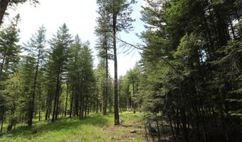 Nhn Black Wolf Trail, Bigfork, MT 59911
