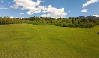 FALCON Drive, Alpine, WY 83128