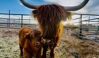 1745 N 11000 W, Altamont, UT 84001