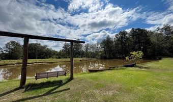 NA 2423 Chicora State Line Road, Buckatunna, MS 39322