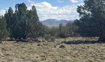0201 County Rd, Concho, AZ 85924