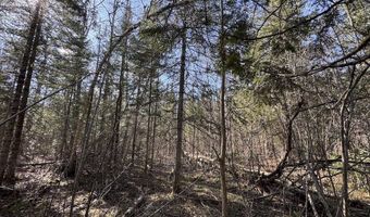 2254 E M30, Alger, MI 48610