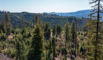 NKA 262 Ac N Side Rd, Calder, ID 83808