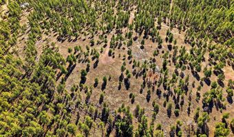 N2147, Alpine, AZ 85920