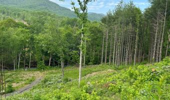 Pumpkin Patch Road, Bakersville, NC 28705