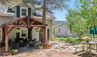 323 N OAK St, Alma, CO 80420