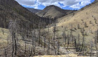122 Black Hollow Rd, Bellvue, CO 80512